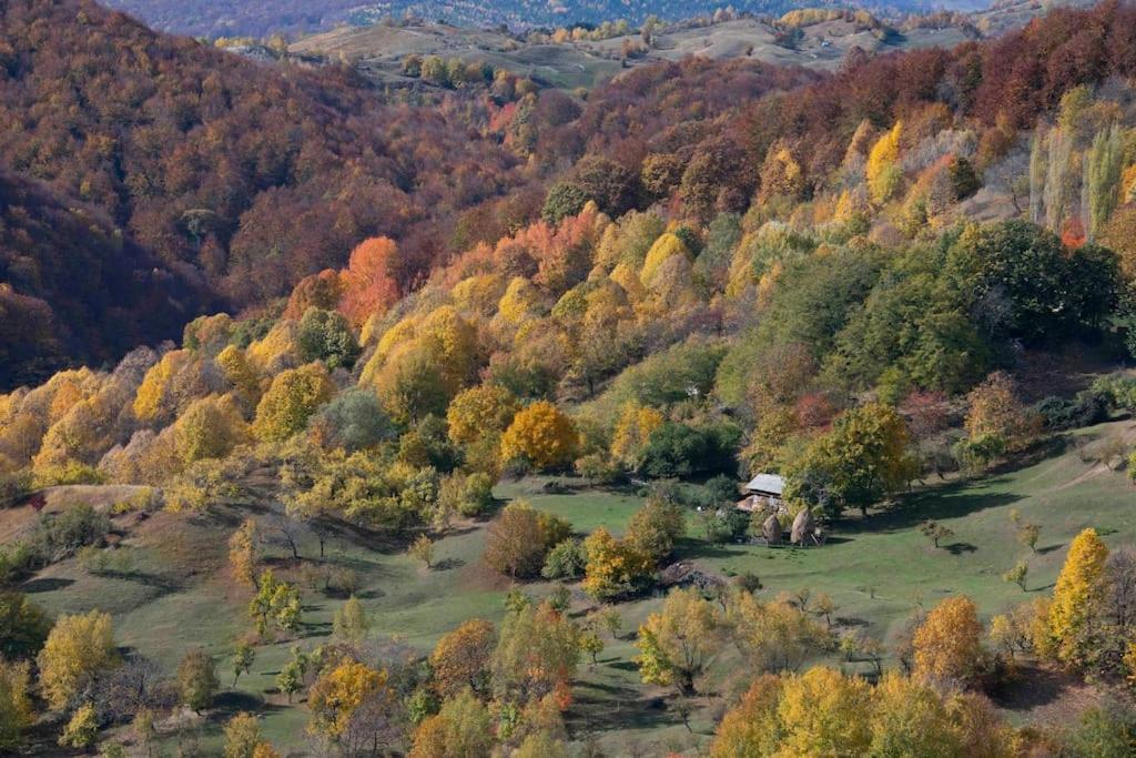 Valley View Breaza エクステリア 写真