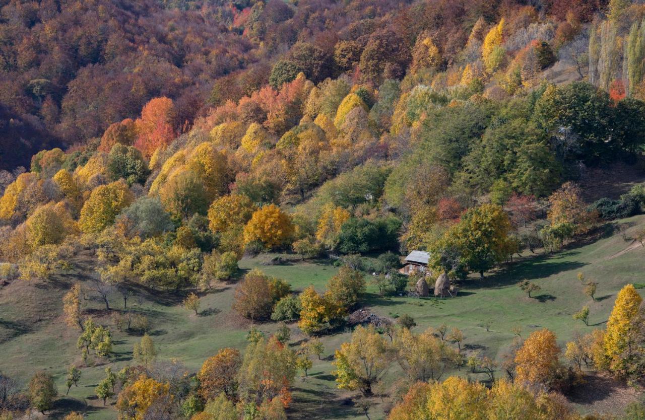 Valley View Breaza エクステリア 写真