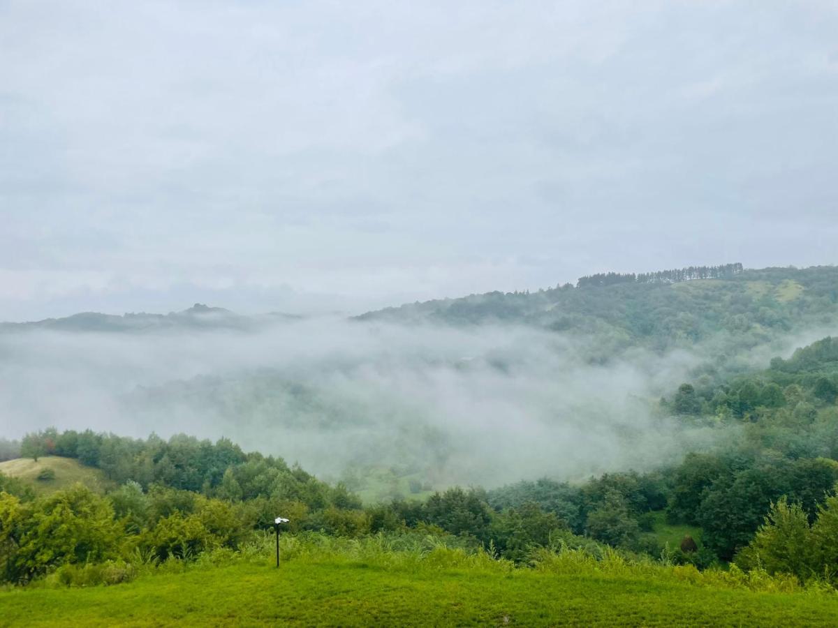 Valley View Breaza エクステリア 写真